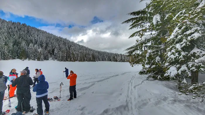 Trillium Campground Picture 7