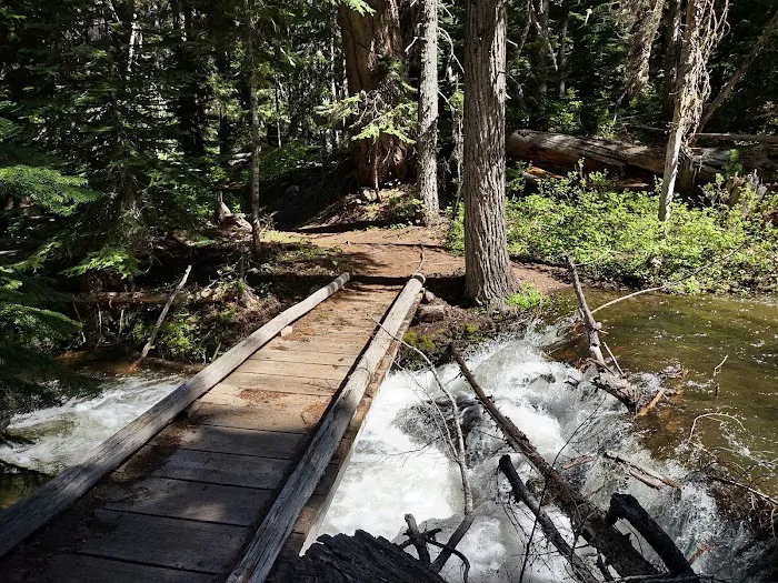 Fifteen Mile Campground Picture 2