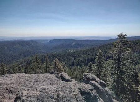Fifteen Mile Campground