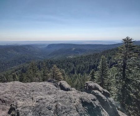 Fifteen Mile Campground
