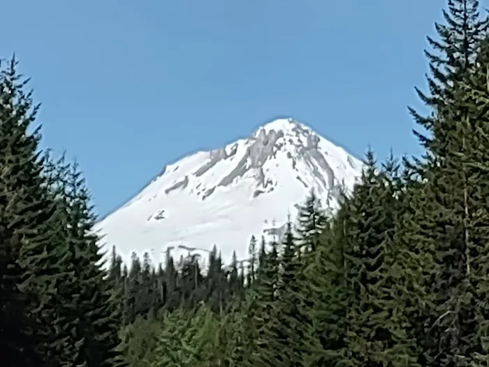 Fifteen Mile Campground Picture 3