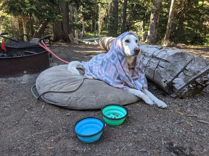 Fifteen Mile Campground Picture 4