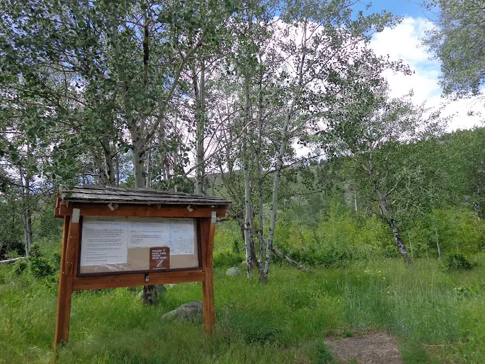 Palmer Mountain Campground Picture 1