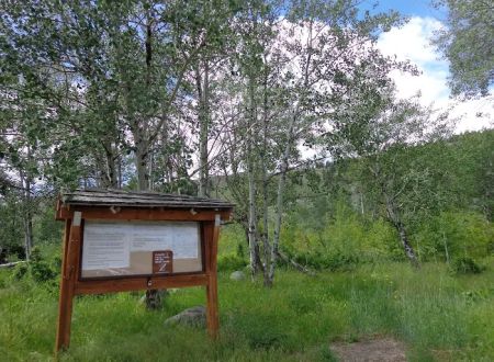 Palmer Mountain Campground