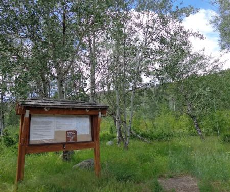 Palmer Mountain Campground