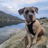 Wannacut lake ico