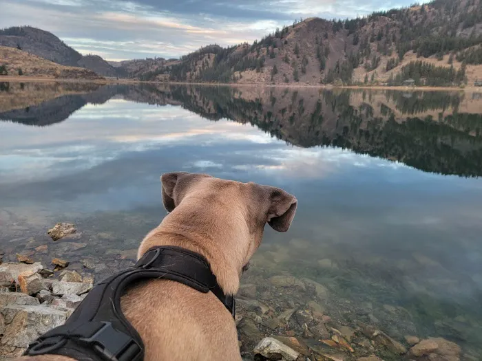 Wannacut lake Picture 4