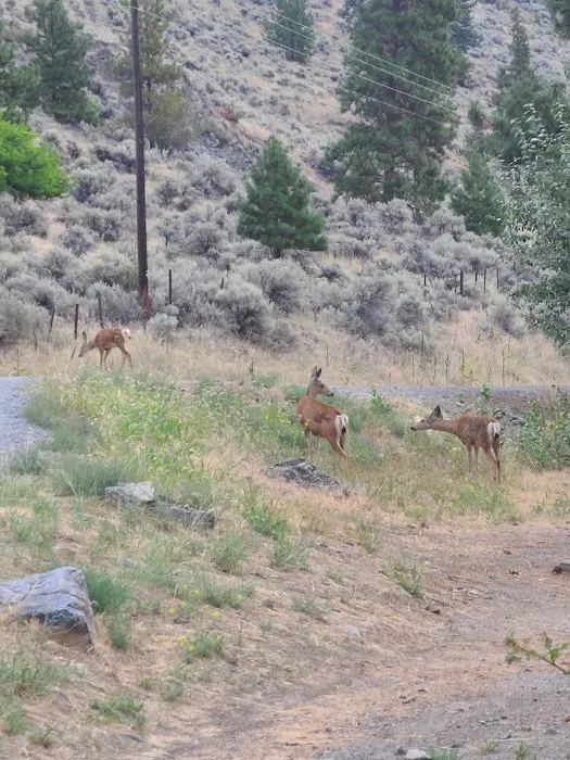 Palmer Lake Campground Picture 10