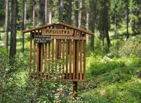Bonaparte Lake Campground