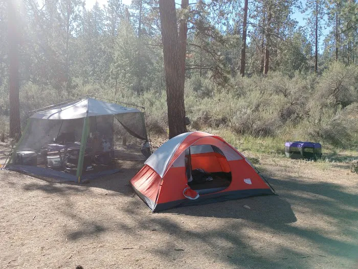 Jones Bay Campground Picture 2