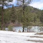 Lyman Lake Campground