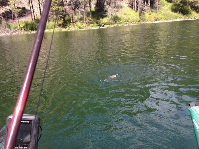 Long Lake Campground Picture 7