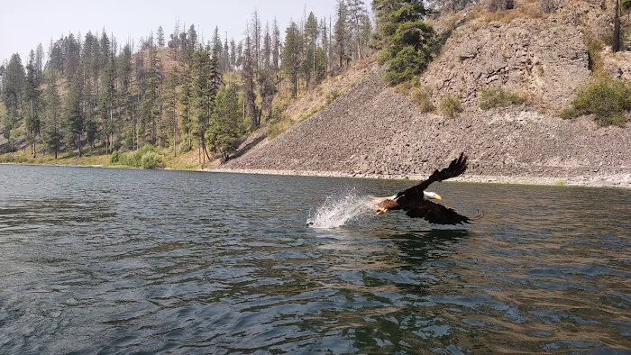 Long Lake Campground Picture 8
