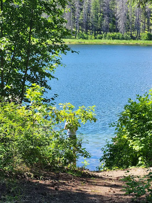 Ferry Lake Campground Picture 4