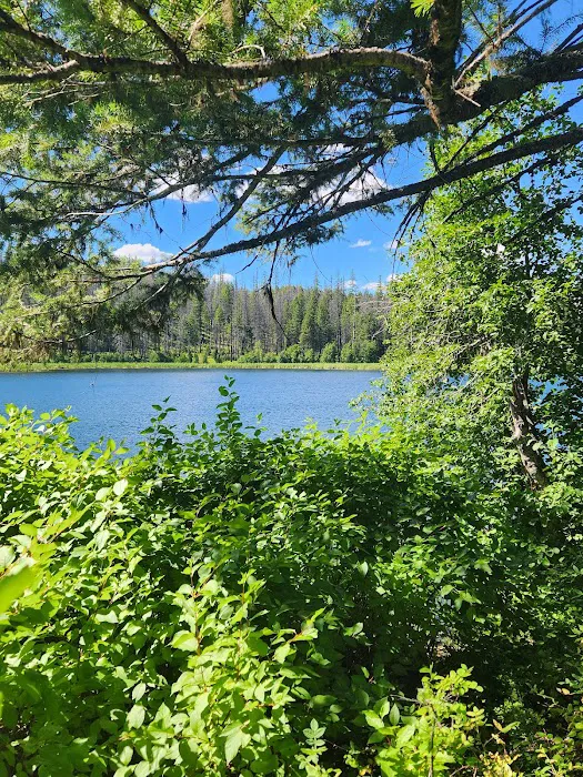 Ferry Lake Campground Picture 3