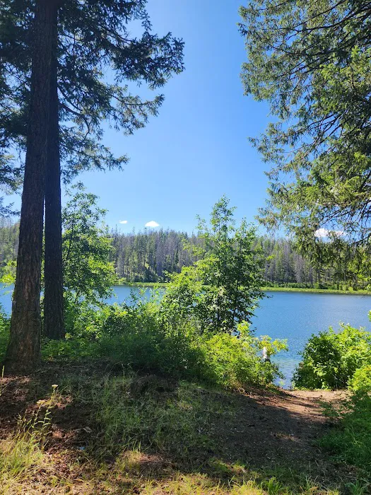 Ferry Lake Campground Picture 6