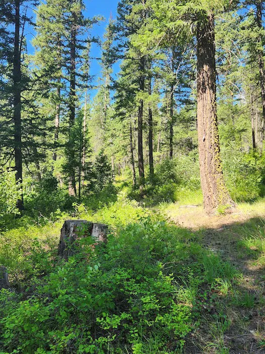 Ferry Lake Campground Picture 7
