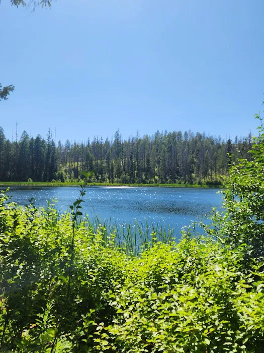 Ferry Lake Campground Picture 5