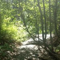 Twentyone Mile Campground ico