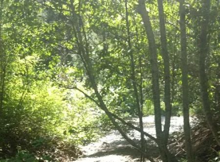 Twentyone Mile Campground