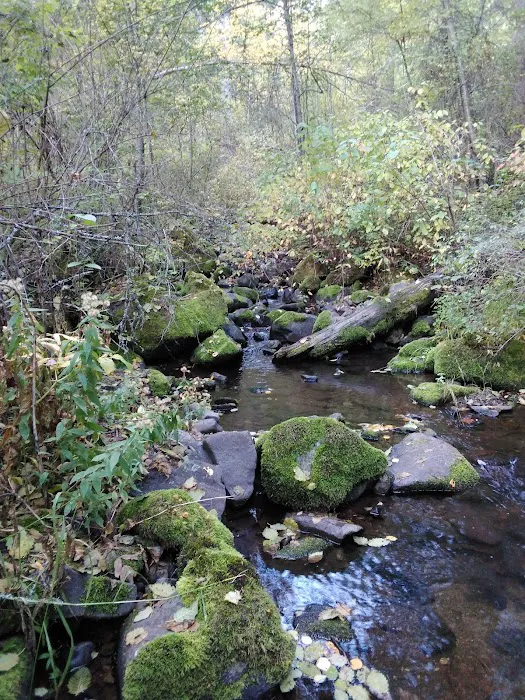 Thirteenmile Campground Picture 6