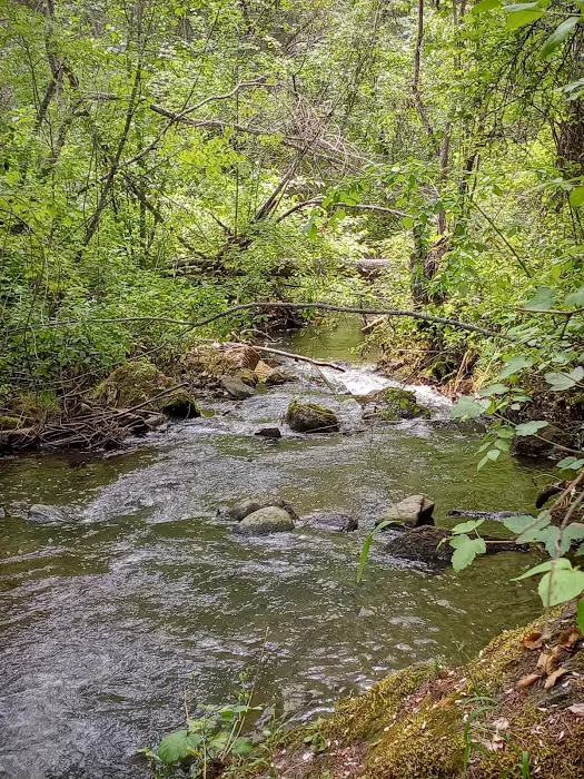 Thirteenmile Campground Picture 4