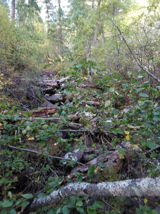 Thirteenmile Campground Picture 8