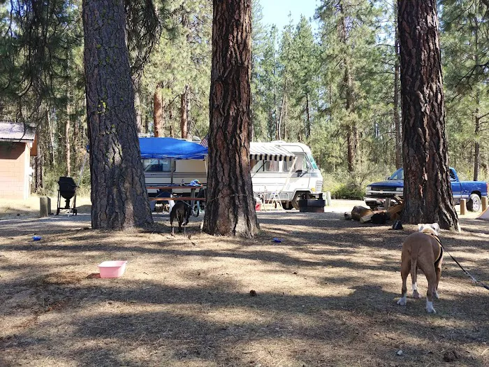 Fort Spokane Campground Picture 8