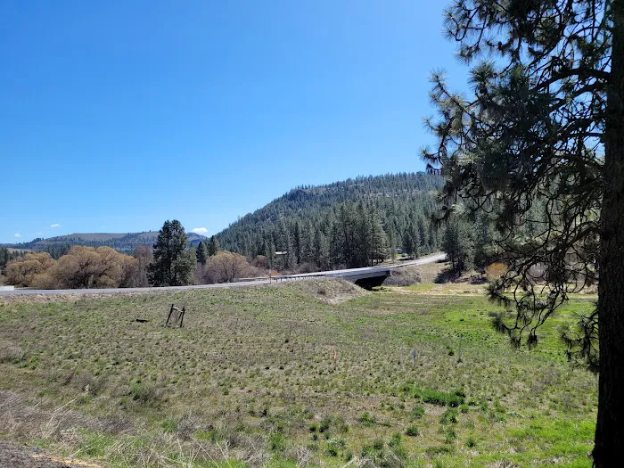 Hawk Creek Campground Picture 6
