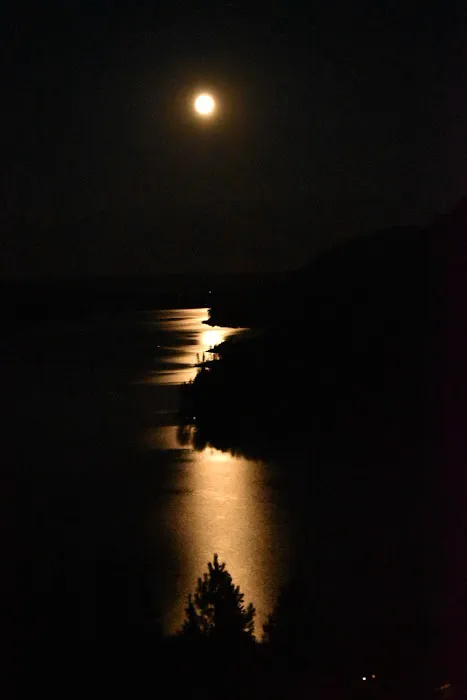 McCoy's Marina Picture 4