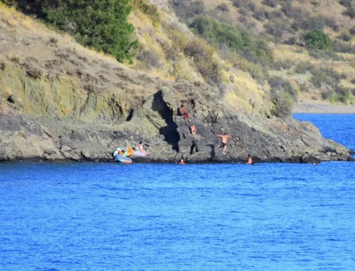 McCoy's Marina Picture 8