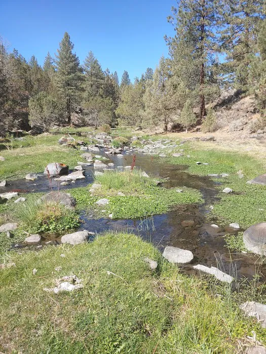 Old Sheep Bridge Crossing Picture 3