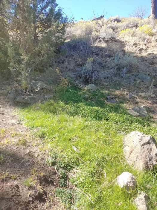 Old Sheep Bridge Crossing Picture 9