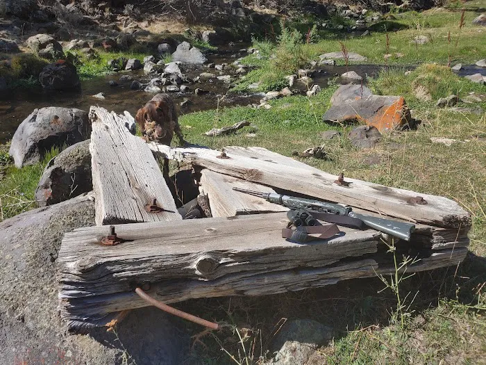 Old Sheep Bridge Crossing Picture 6