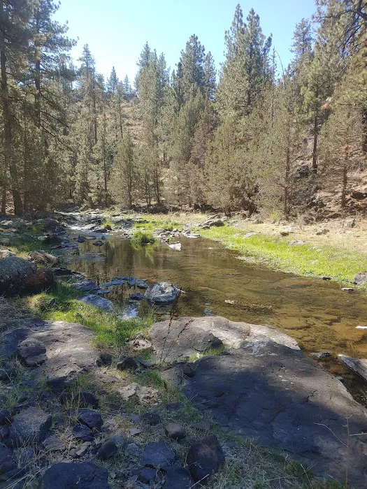 Old Sheep Bridge Crossing Picture 10