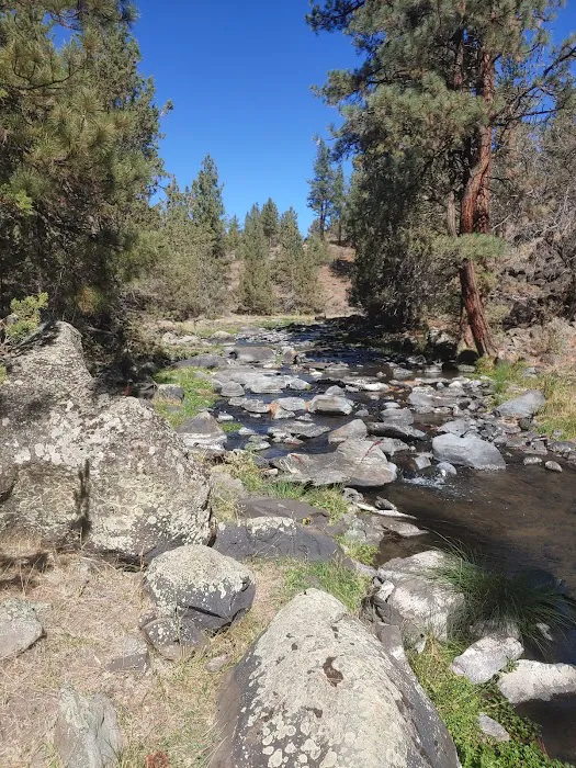 Old Sheep Bridge Crossing Picture 1