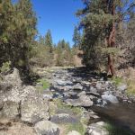Old Sheep Bridge Crossing