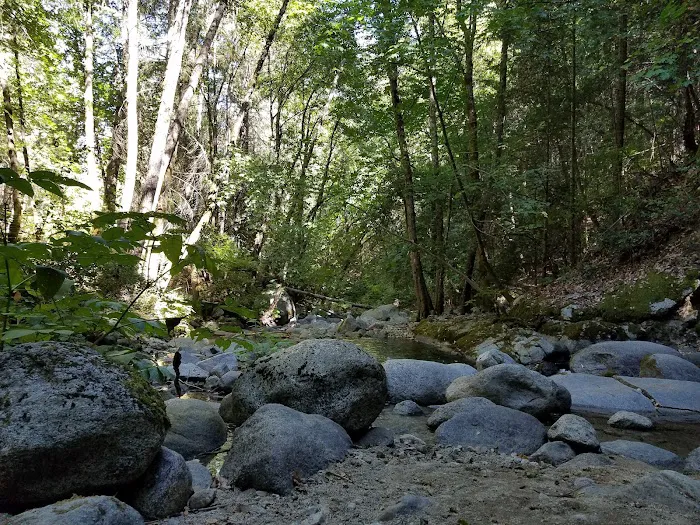Crystal Creek Picture 5