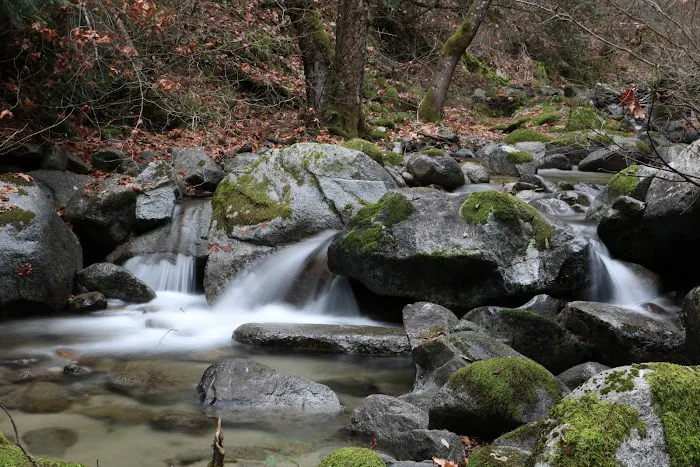 Crystal Creek Picture 2