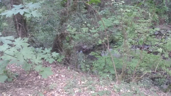 Crystal Creek Picture 6