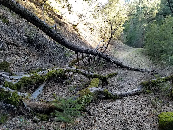 Crystal Creek Picture 10