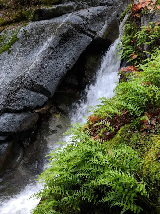 Crystal Creek Picture 8