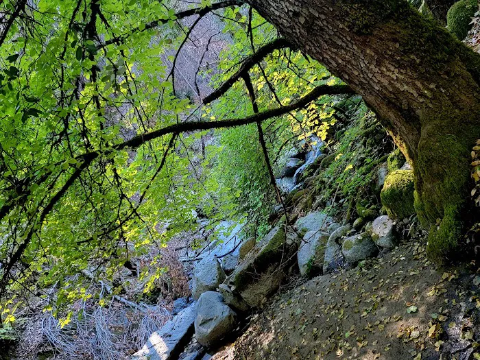 Crystal Creek Picture 9