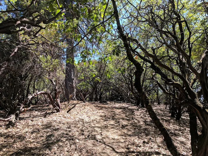 Slaughterhouse Island Campground Picture 1