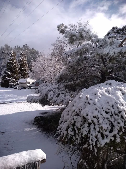 River Oaks Resort Picture 6