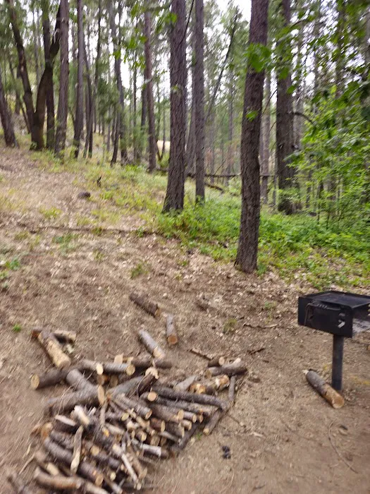 Mary Smith Campground Picture 1
