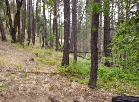 Mary Smith Campground