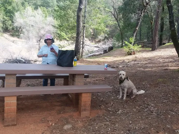 Gooseneck Cove Boat-In Campground Picture 4