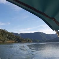 Gooseneck Cove Boat-In Campground ico