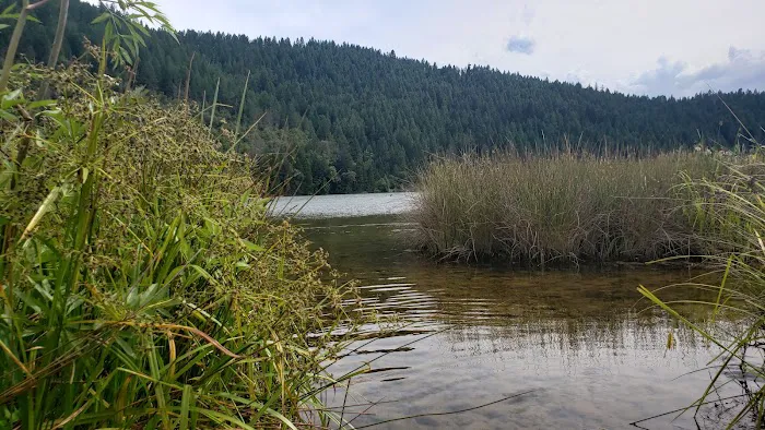 Cooper Gulch Campground Picture 5